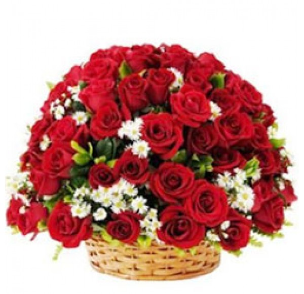 Pretty Thirty Red Roses Collection with Fillers